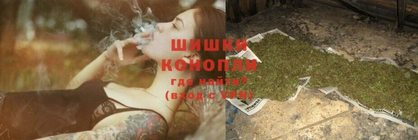 гашик Зеленокумск