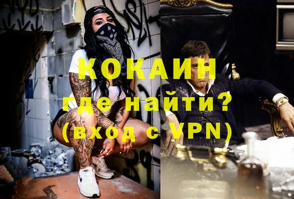 гашик Зеленокумск