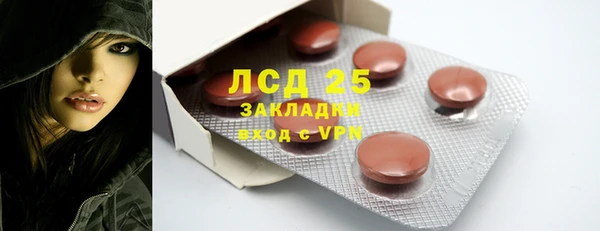 гашик Зеленокумск
