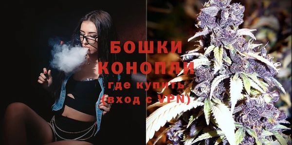 гашик Зеленокумск