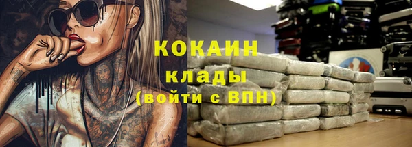 гашик Зеленокумск