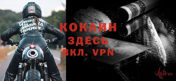 гашик Зеленокумск